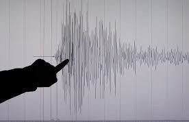 Zilzila boʻyicha maʼlumot beruvchi mobil ilova yaratiladi