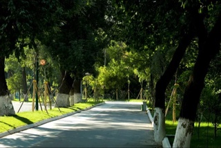 2024 йилнинг июнь ойи қандай бўлиши кутилмоқда?