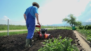 Қыйтақ жерден үш мәрте өним ҳәм 500 миллион сум дәрамат