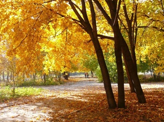 Weather forecast for October 2nd