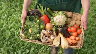 Занятость населения: перспективы рынка труда