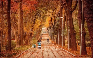 Прогноз погоды на 13 ноября