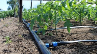 Рачительное расходование водных ресурсов достойно поощрения