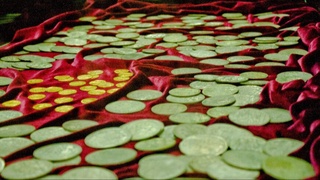 Буюк Британияда милоддан аввалги 150 йилда ясалган тангалар топилди