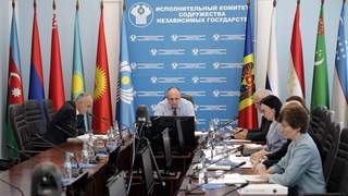 CIS experts discussed issues of cooperation in the field of physical culture and sports