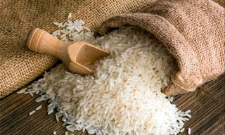 Хоразм вилоятининг шоли етиштирувчилари қўшимча субсидиялар олади