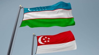 Singapore investors plan to implement a project in the production of building materials in Uzbekistan