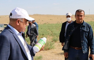 Қашқадарё яйловларида зарарли чигирткаларга қарши курашиш тадбирлари бошланди