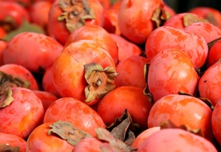 1,7 million dollarlik xurmo eksport qilindi