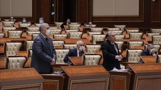 Senatning ayrim qoʻmitalar faoliyati takomillashtirilmoqda
