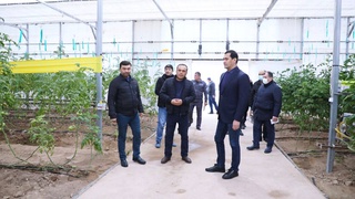 Изучаются вопросы промышленного и социально-экономического развития Сурхандарьинской области