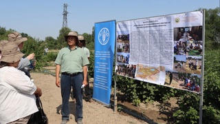 ФАО провела тренинг тренеров по семеноводству овощных культур