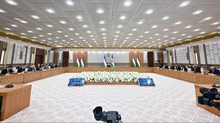 Oʻzbekistonda “Xavfsiz yoʻl” milliy dasturi boshlanadi