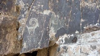 Сармишсой дараси ҳақида фильм суратга олинади