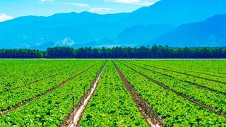 Роль науки и технологий в модернизации сельского хозяйства