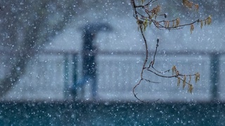 Айрим ҳудудларда ёмғир қорга айланиши мумкин