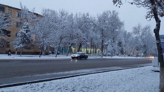 Жорий йилнинг февраль ойида бизни қандай об-ҳаво кутмоқда?