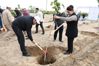 В городе Навои дан старт осенней посадке в рамках проекта «Яшил макон»