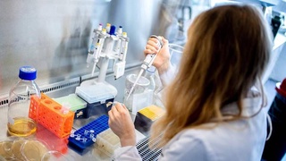 Олимон антителоеро пайдо карданд, ки аз ҳамаи штаммҳои коронавирус муҳофизат мекунад