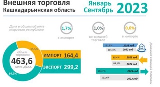 Внешнеторговый оборот Кашкадарьинской области за 9 месяцев 2023 года: инфографика