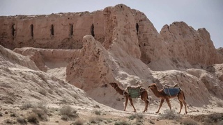 Туристический потенциал Каракалпакстана: новые возможности и вызовы