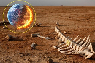 80 йилдан кейин Ернинг бир қисми бутунлай йўқ бўлиб кетиши мумкин