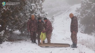 Для диких животных всех охраняемых природных территорий Узбекистана доставляется кормовая продукция