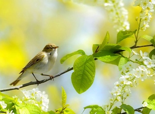 Прогноз погоды на 30 марта