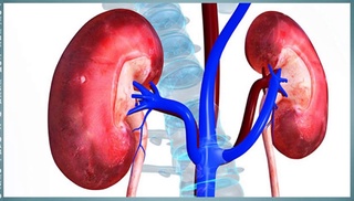 Буйрагингиз ҳаводан ҳам касалланишини биласизми?
