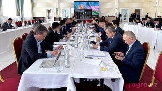 Узбекистан - Казахстан: сельское хозяйство важное направление в сотрудничестве