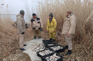 Айдар-Арнасой кўллар тизимида ноқонуний балқ овлаш ҳолати аниқланди