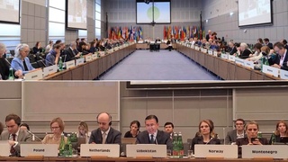 ЕХҲТ Доимий кенгашининг навбатдаги мажлисида Ўзбекистонда ўтказилган парламент сайлови  эътироф этилди