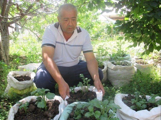 Қопда картошка етиштирганмисиз?