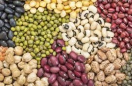 Сурхондарёдан Афғонистон ва Покистонга 41 млн долларлик дуккакли маҳсулотлар экспорт қилинди