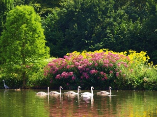 Прогноз погоды на день 31 мая