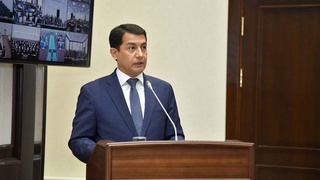 Сенат заслушал информацию МИД о работе проделанной в 2020 году