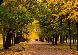 Прогноз погоды на 22 сентября