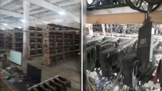 Sirdaryoda noqonuniy mayning ferma faoliyatiga chek qoʻyildi