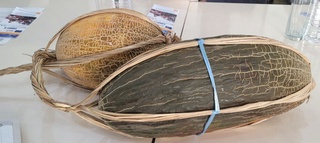 “Gurvak” qovuni geografik ko'rsatkichlari ro'yxatdan o'tkaziladigan birinchi mahsulotga aylanishi mumkin