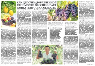Как цепочка добавленной стоимости обеспечивает конкурентоспособность