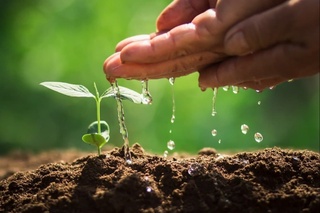 Жылыңыз жасыл болсын!