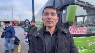 Ukrainada oʻqiyotgan talabalarni olib chiqish uchun “yashil yoʻlak” ochish masalasi ishlab chiqilmoqda — TIV rasmiy vakili