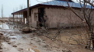 Тўрткўлдаги сув тошқинидан 8 та уй-жой ва 2,5 гектар экин майдони зарар кўрди