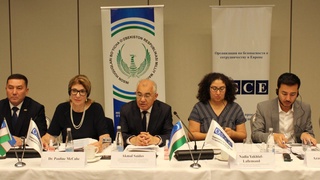 Қийноқларнинг олдини олиш соҳасидаги халқаро стандартлар ўрганилмоқда