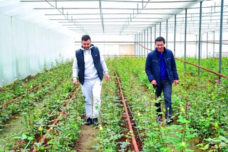 Бир мақсадли уч ҳужжат ёшларни янада фаол ва ташаббускор бўлишга ундайди