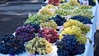 Самарқанд узумлари дунё бозорлари расталарида