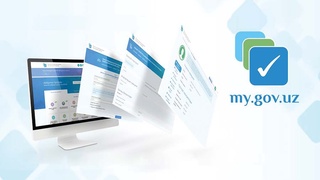 Электронное правительство - современная система взаимодействия народа и государства