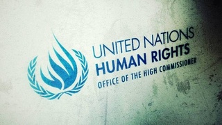 Права человека как политический вектор государственных реформ