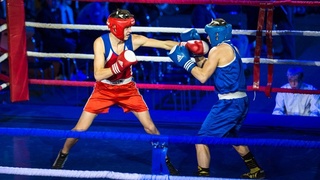 Чемпионат мира по боксу в 2023 году пройдет в Ташкенте