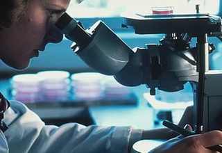 Дунёда биринчи марта буйрак ҳужайралари тикланди